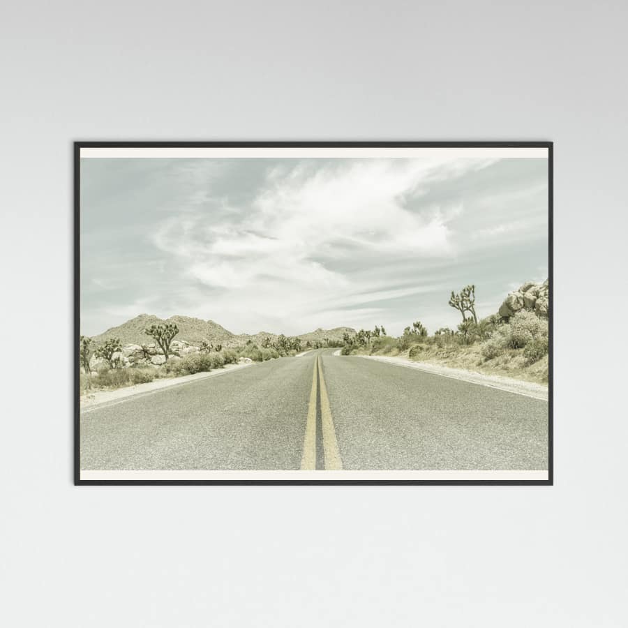 Black Wood Vintage Joshua Trees, Park Boulevard Poster