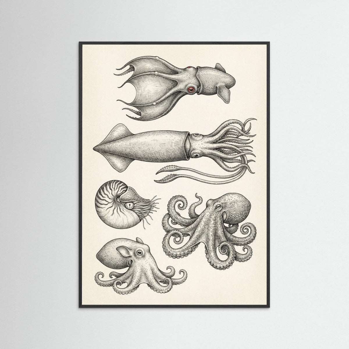 Black Wood Vintage Shark Study