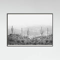 Black Wood Western Cactus Poster