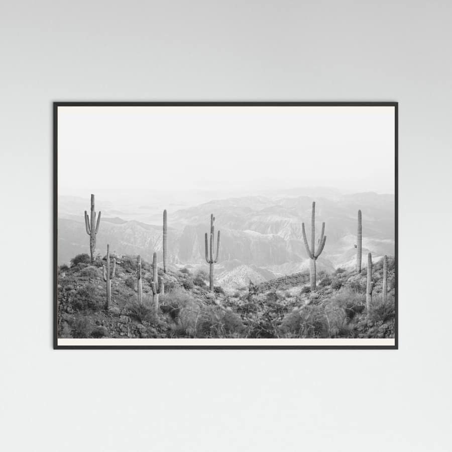 Black Wood Western Cactus Poster