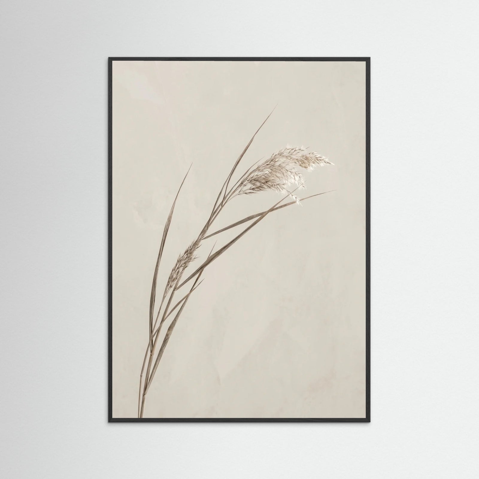 Black Wood Whisper Bloom