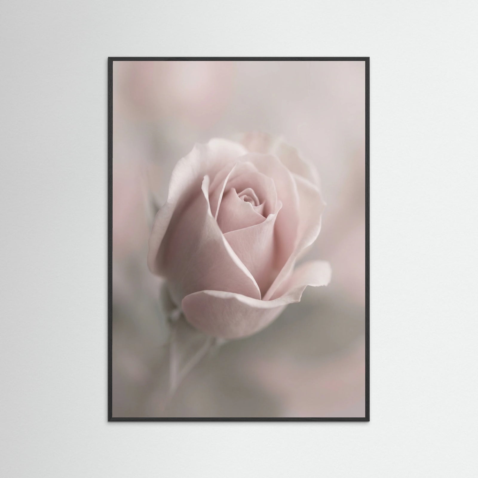 Black Wood Whispering Blossoms