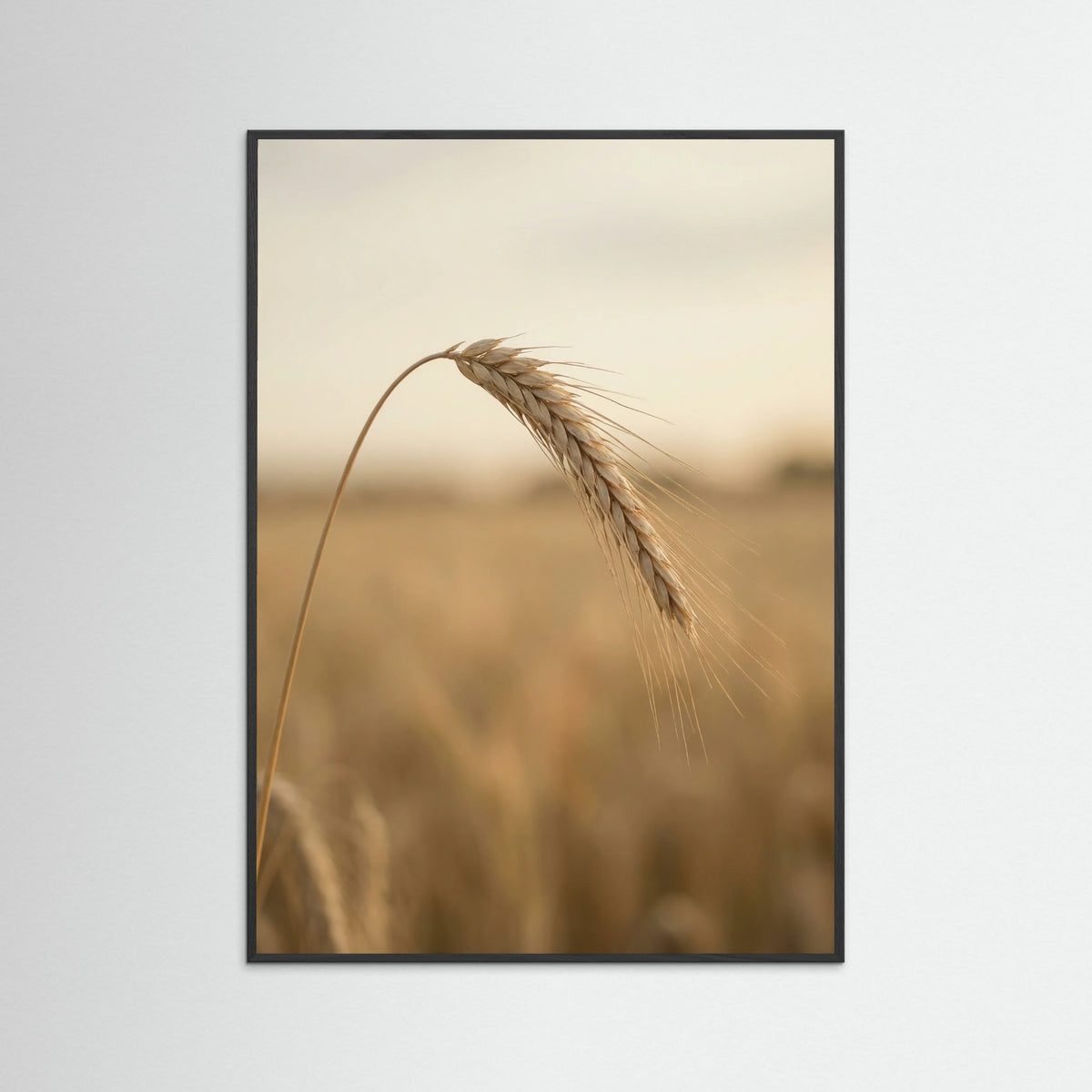 Black Wood Whispering Pampas