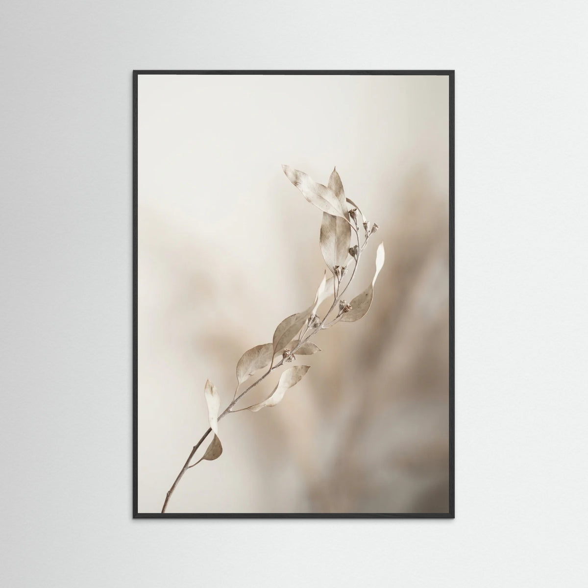 Black Wood Whispering Pampas