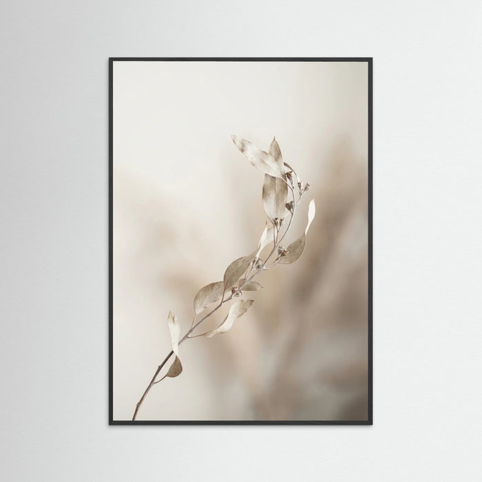 Black Wood Whispering Pampas