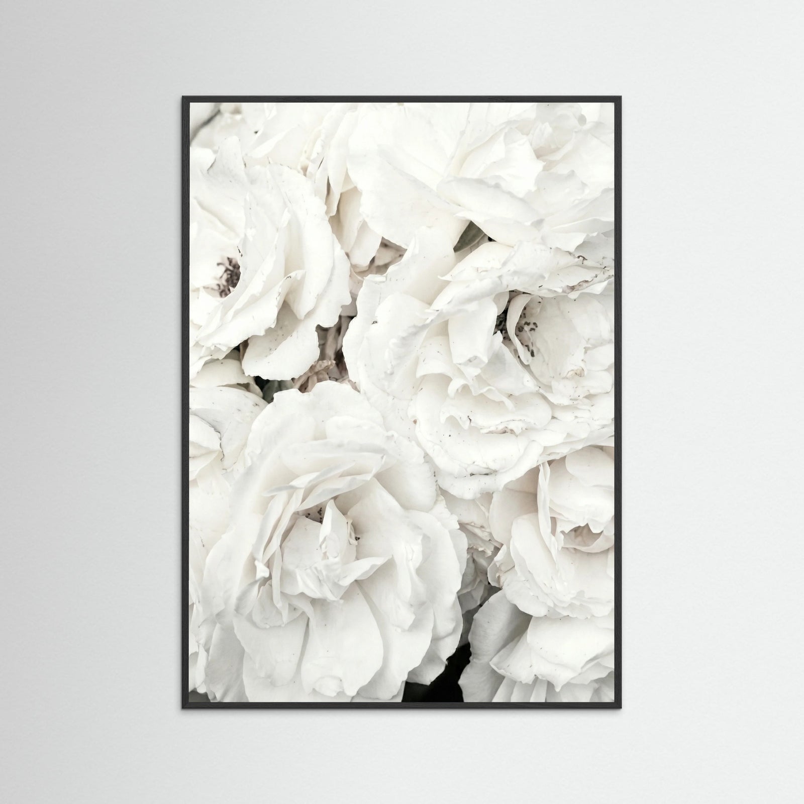 Black Wood White Petal Embrace