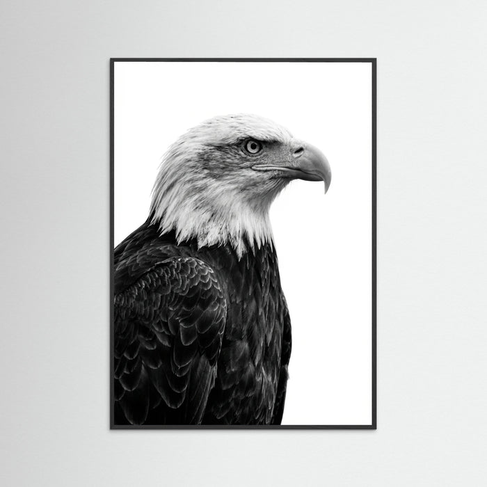 Black Wood Wild Profile