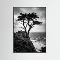Black Wood Windblown Grace