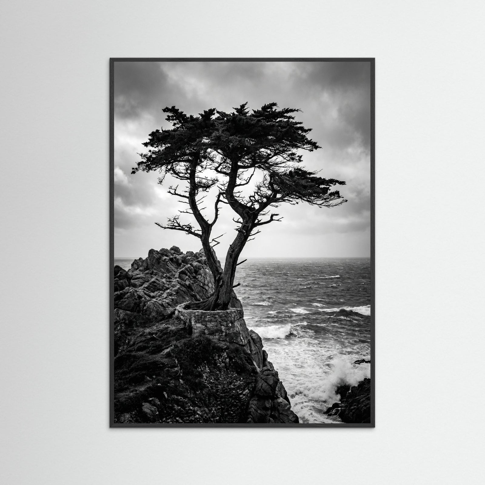 Black Wood Windblown Grace