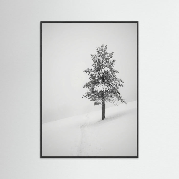 Black Wood Winter Ascent