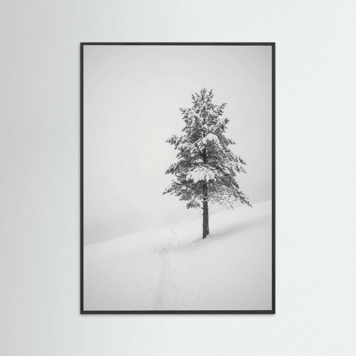 Black Wood Winter Ascent