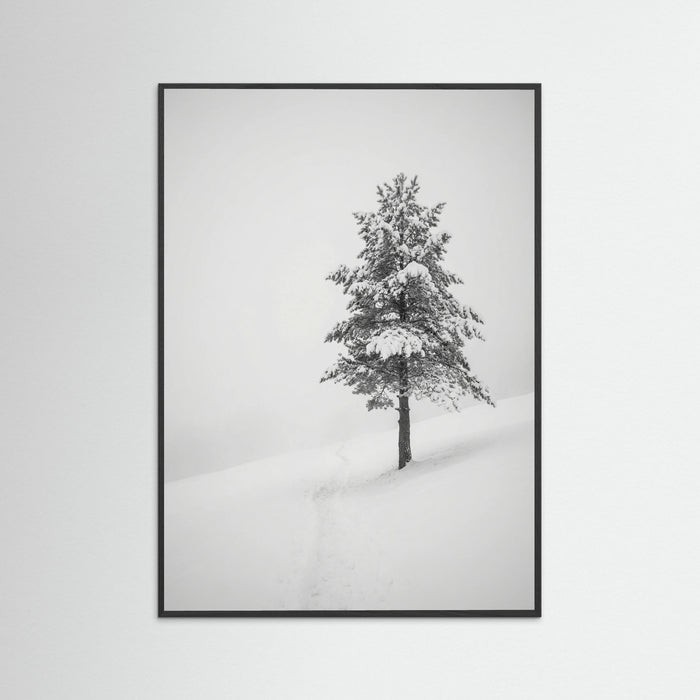Black Wood Winter Ascent