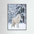 Black Wood Winter Majesty