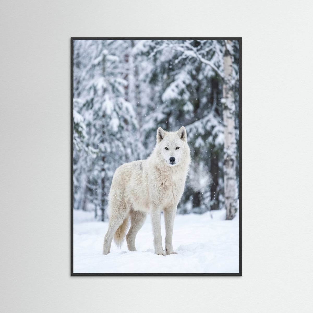 Black Wood Winter Majesty
