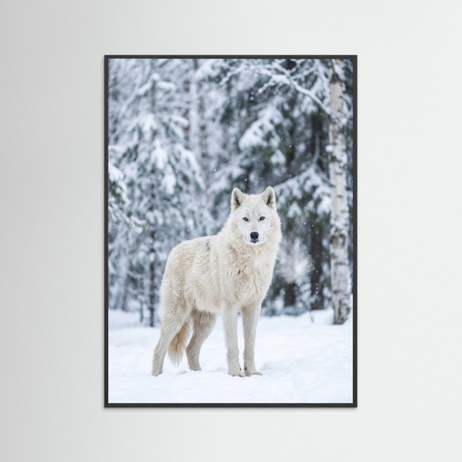 Black Wood Winter Majesty