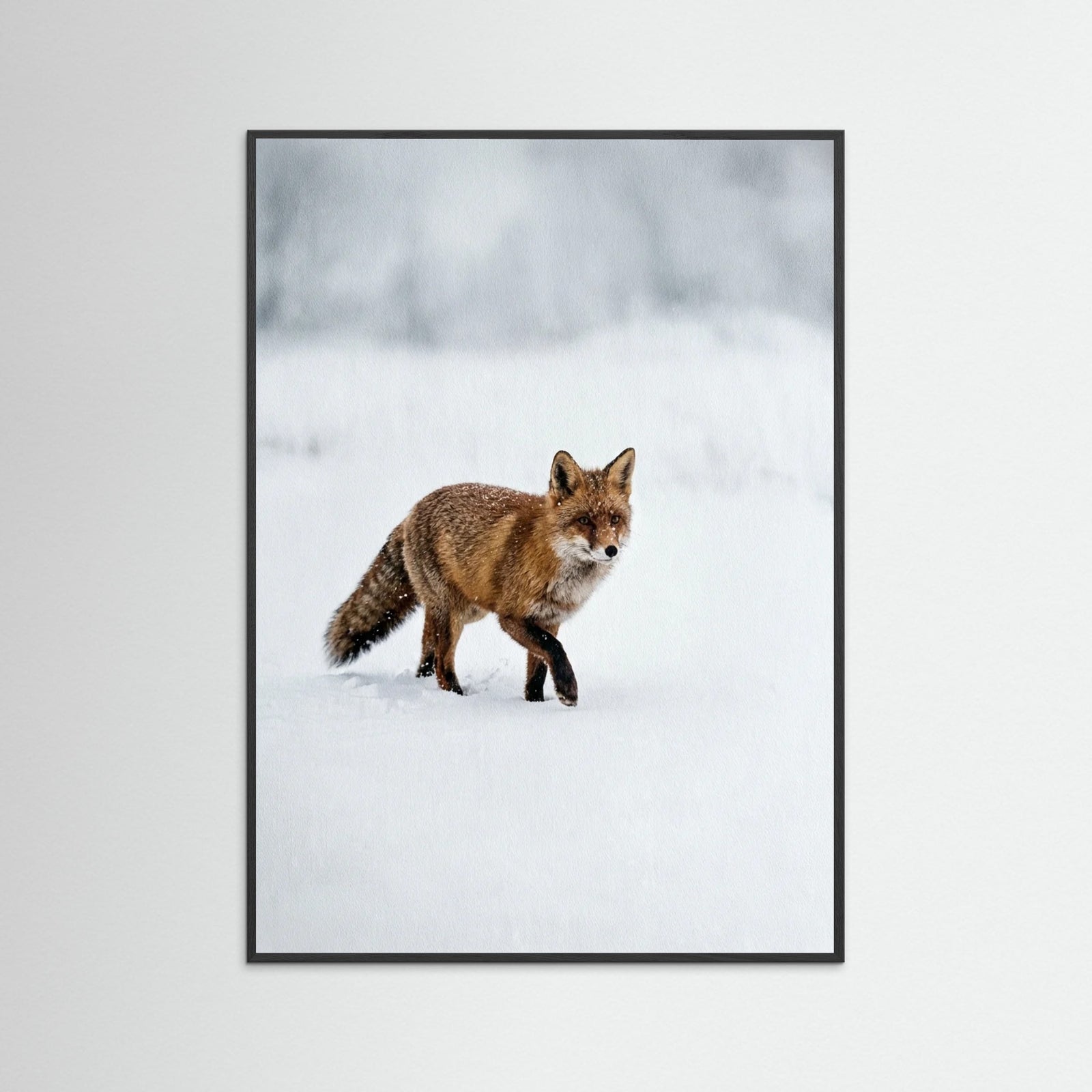 Black Wood Winter Majesty