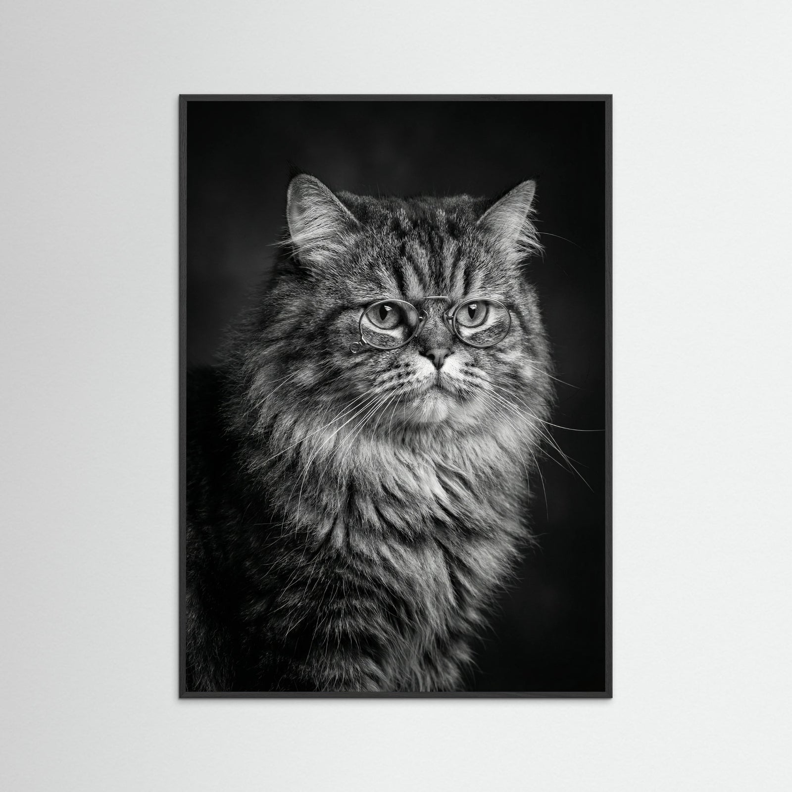 Black Wood Wise Canine