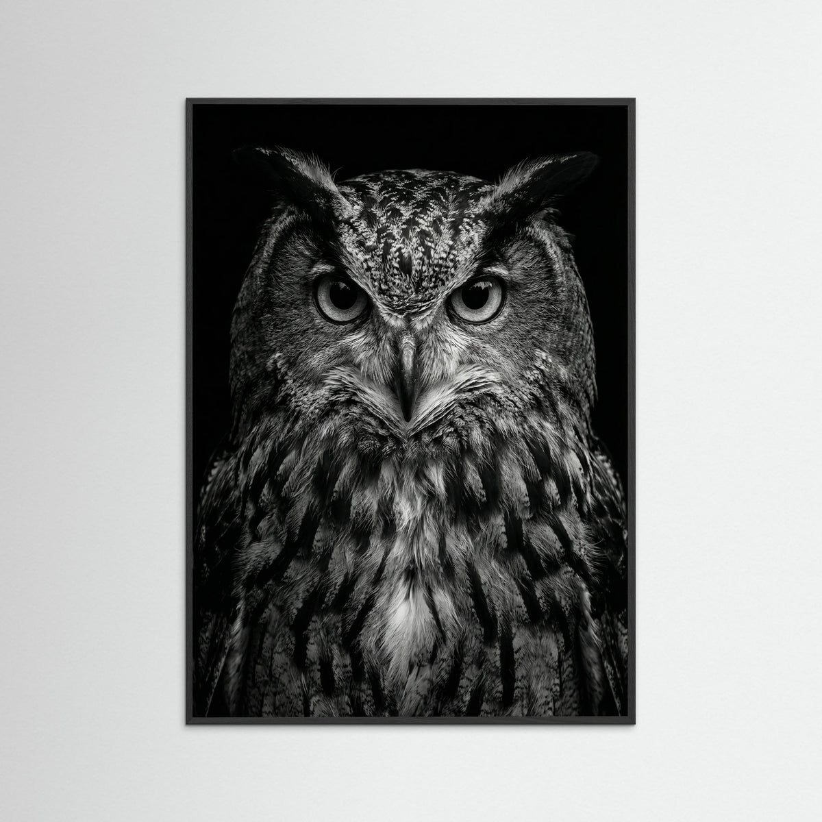 Black Wood Wise Labrador