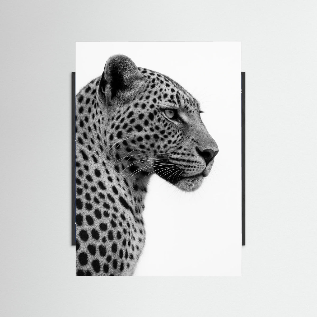 Black Wood photo Leopard Profile