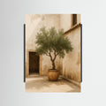 Black Wood photo Potted Olive Tree