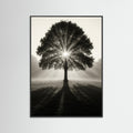Black Wood photo Sunlit Tree