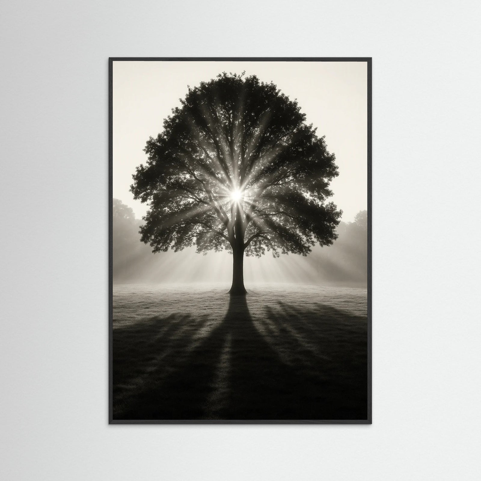 Black Wood photo Sunlit Tree