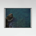 seascape and rocks Poster – plakat og kunsttryk