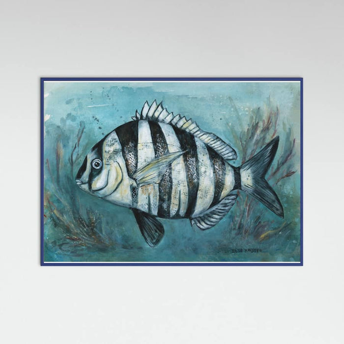 240 Zebra Master Poster – Poster und Kunstdruck