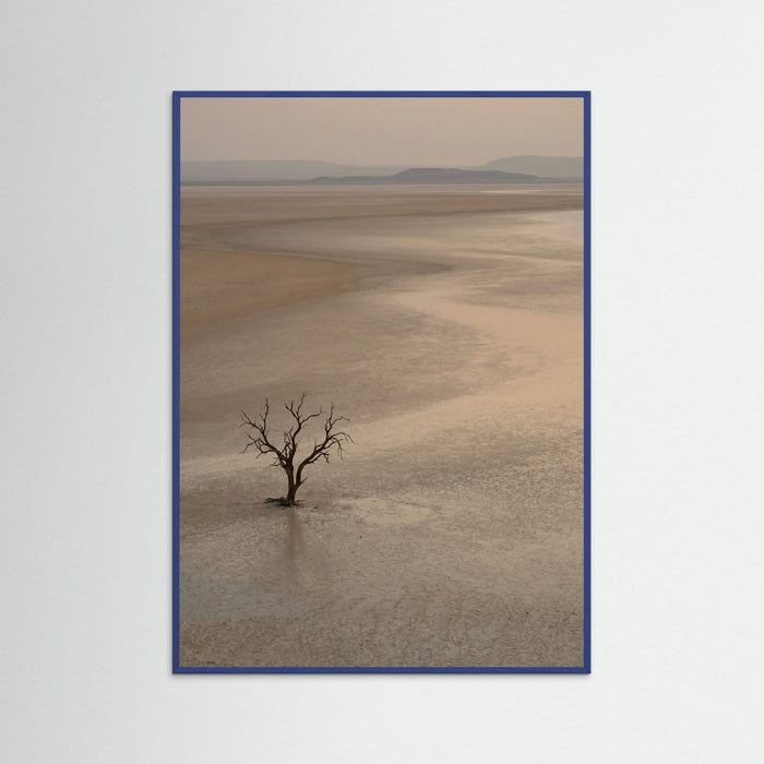 Blue Wood Arid Horizon