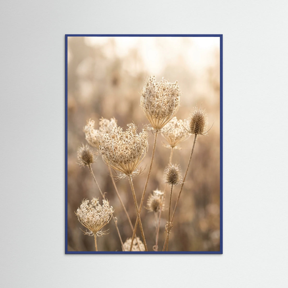 Blue Wood Autumn Whispers