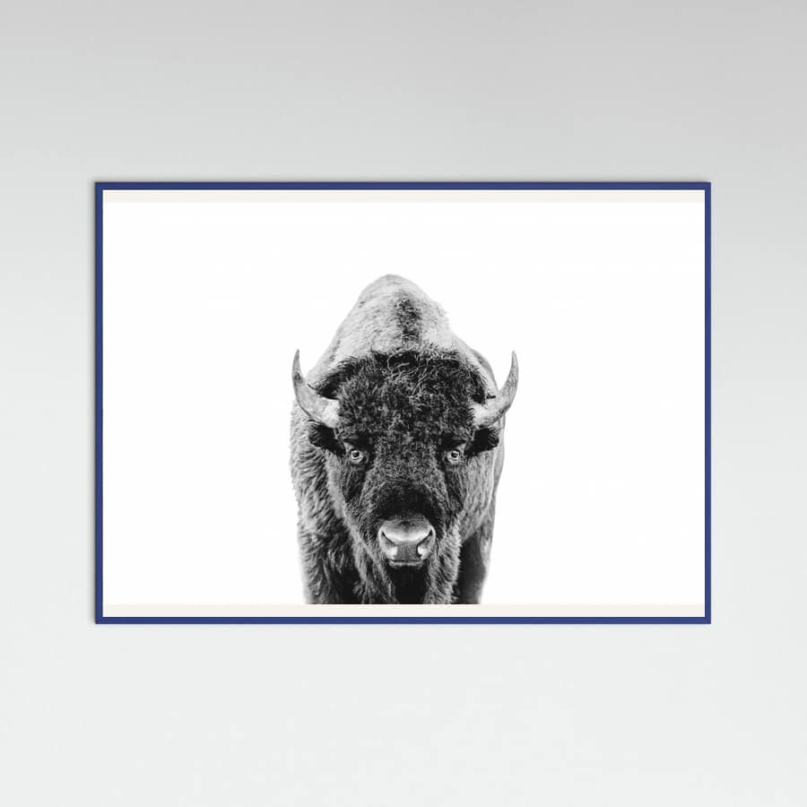 Póster Bison Bw – póster e impresión artística