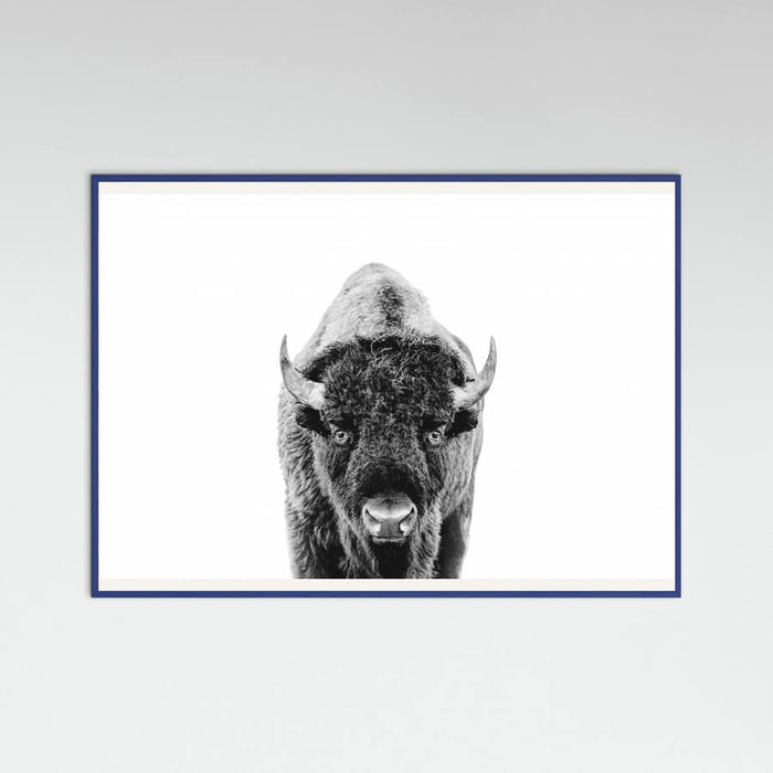 Póster Bison Bw – póster e impresión artística