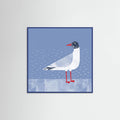 Black Headed Gull Poster – plakat og kunsttryk