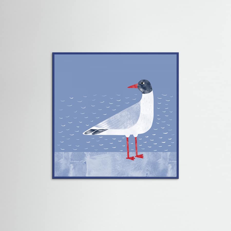 Black Headed Gull Poster – plakat og kunsttryk