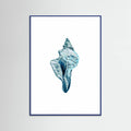 Blue Seashell On White Background No4 Poster – poster och konsttryck