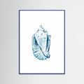 Blue Seashell On White Background No6 Poster – plakat og kunsttryk