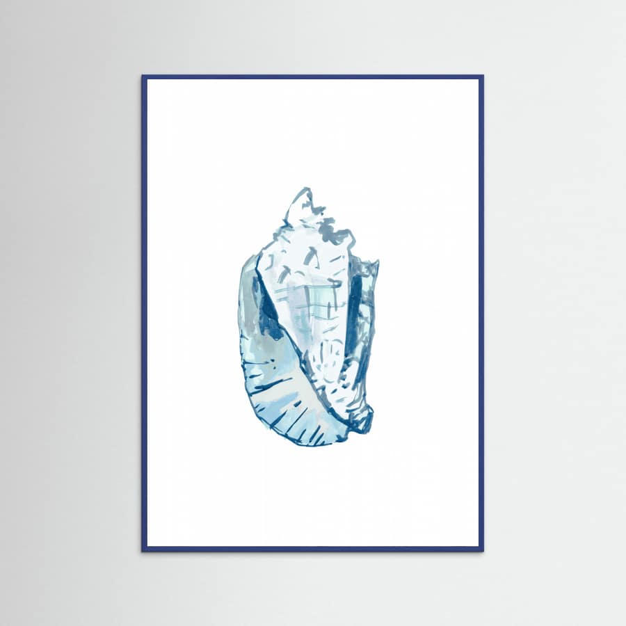 Blue Seashell On White Background No6 Poster – plakat og kunsttryk