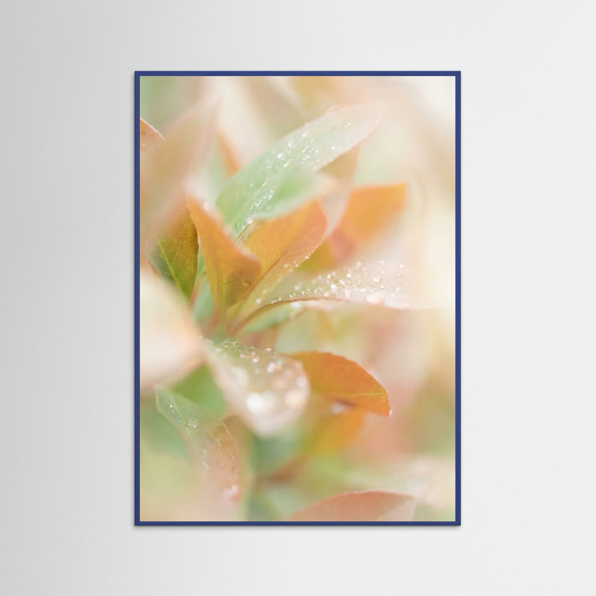 Blue Wood Blushing Bloom