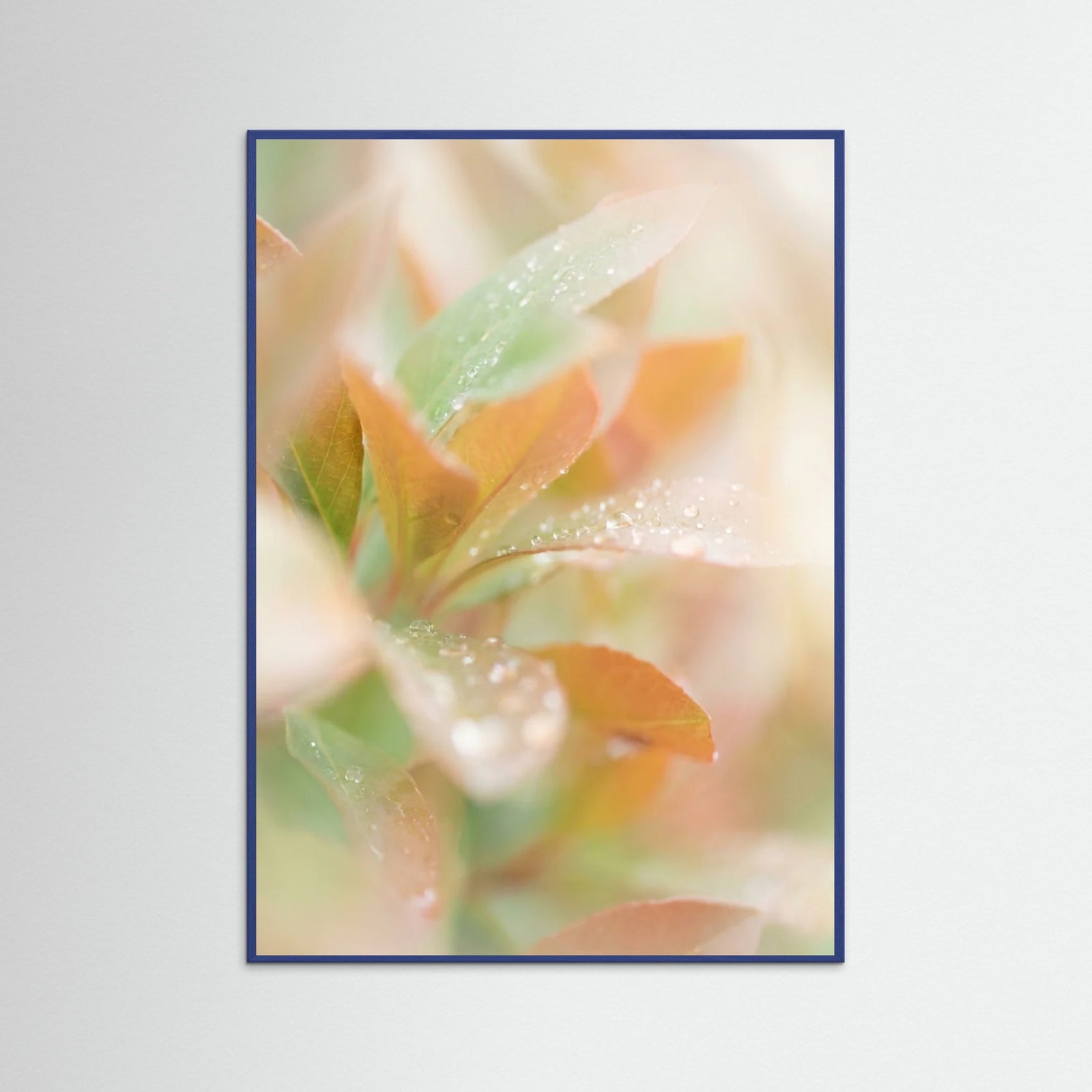Blue Wood Blushing Bloom