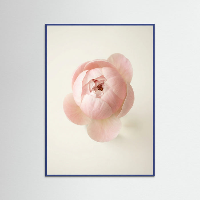Blue Wood Blushing Blooms