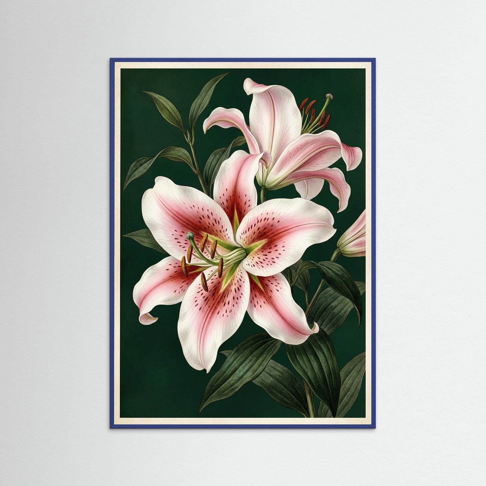 Blue Wood Blushing Peony Blossom