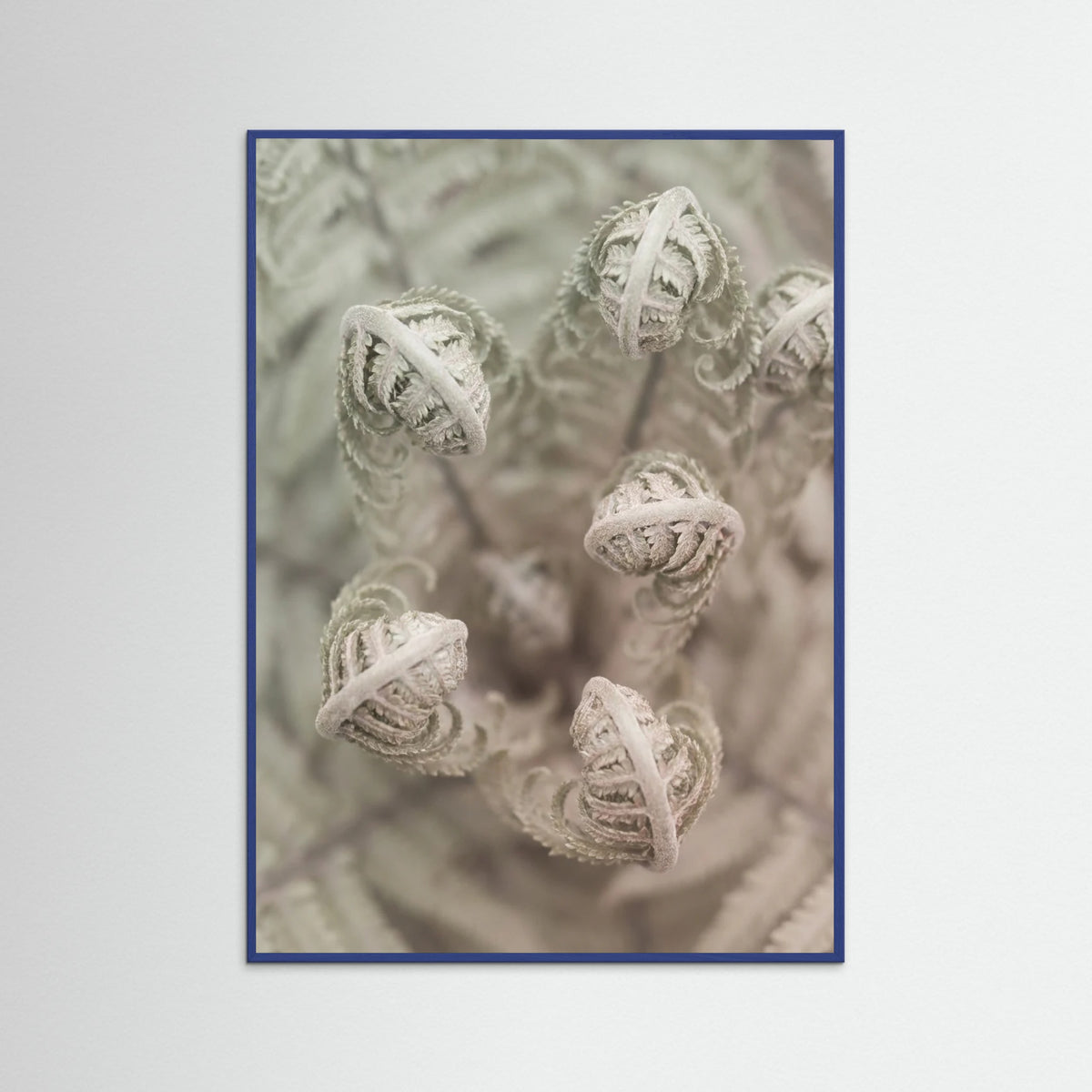 Blue Wood Blushing Petals