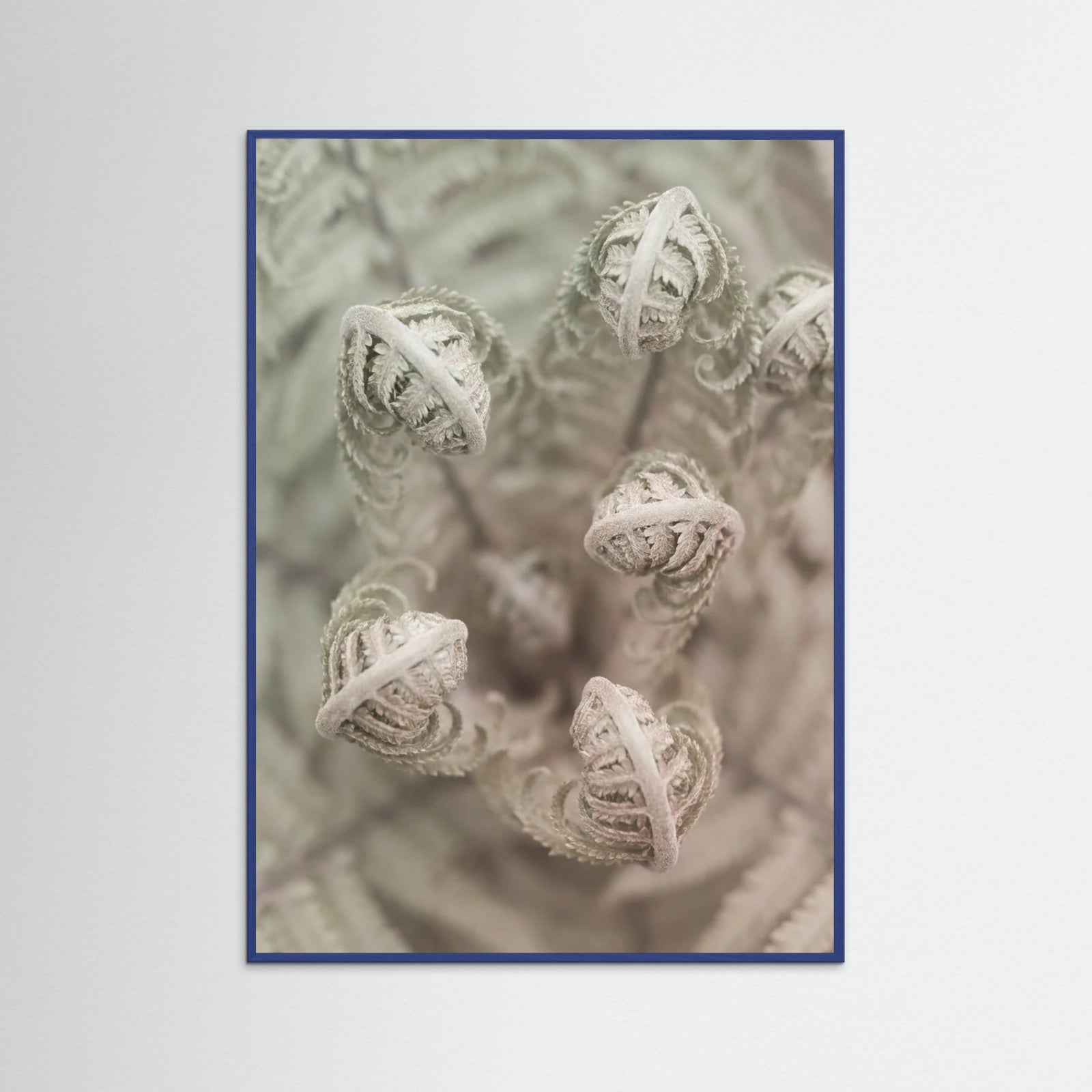 Blue Wood Blushing Petals