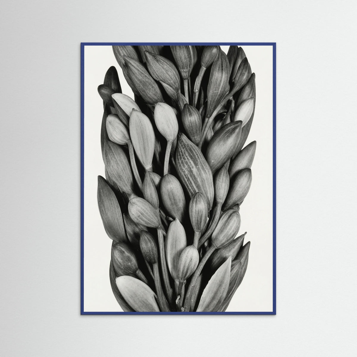 Blue Wood Budding Forms