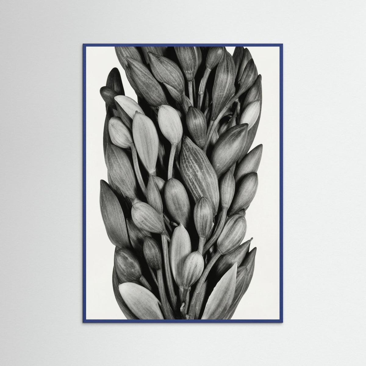 Blue Wood Budding Forms