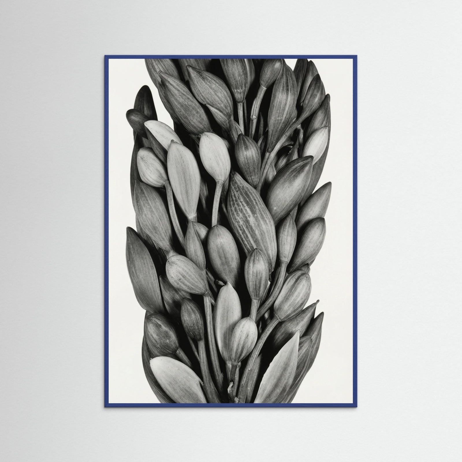 Blue Wood Budding Forms