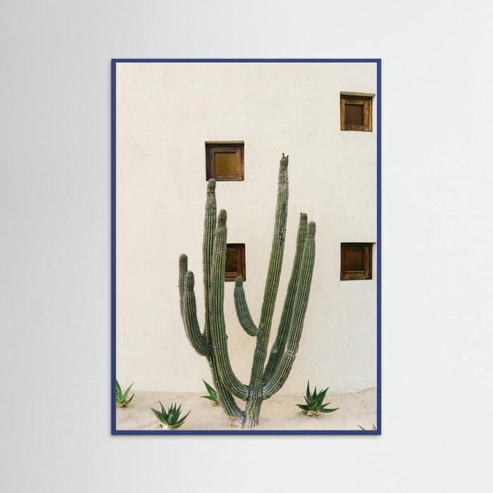 Blue Wood Cabo Cactus IX Poster