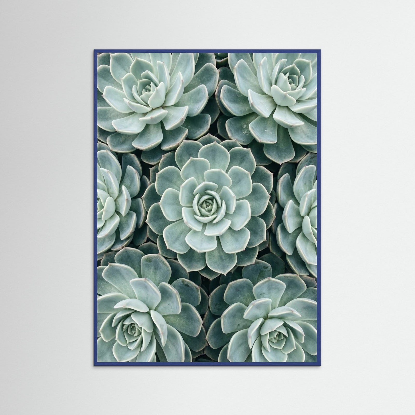 Blue Wood Cactus Array