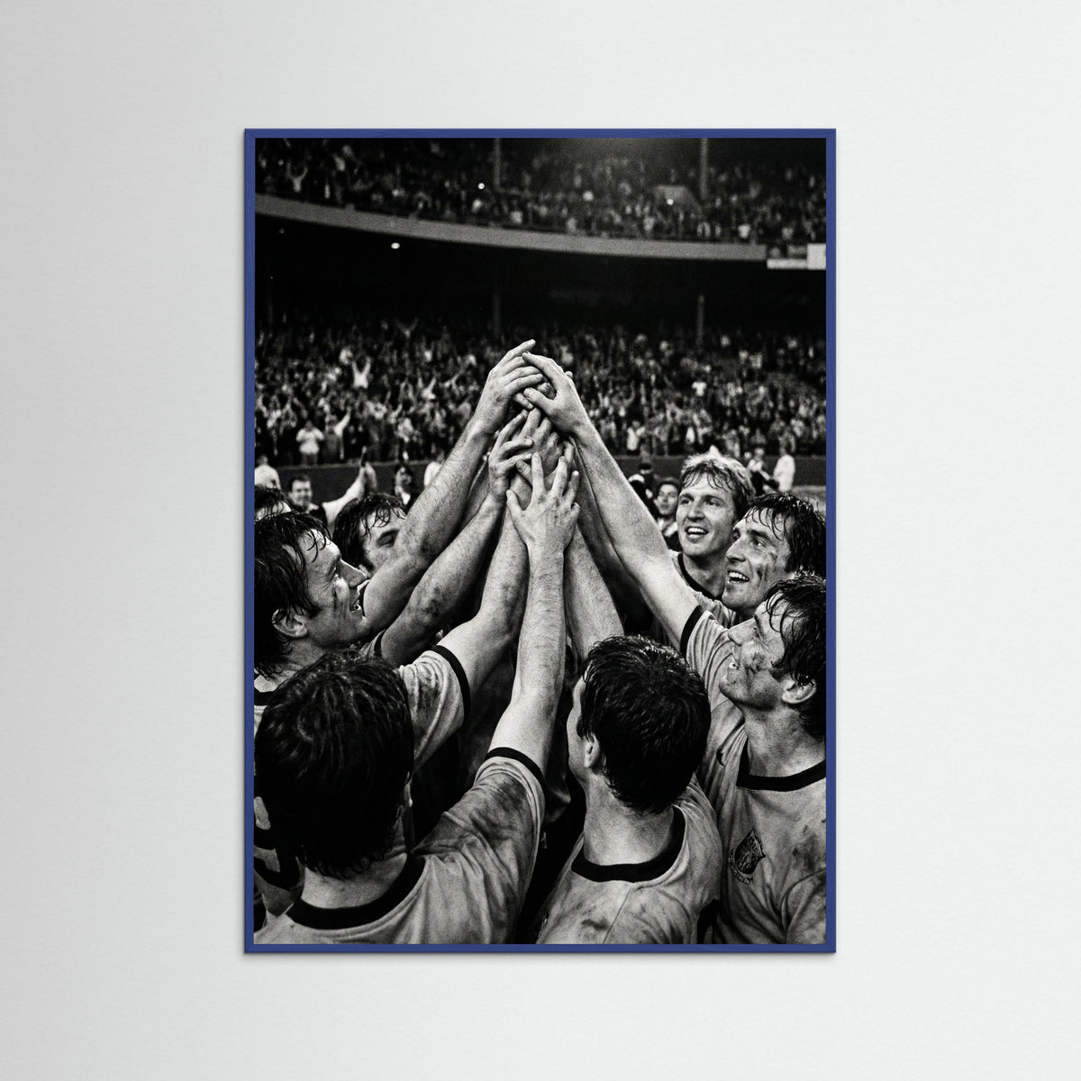 Blue Wood Champions Gaze