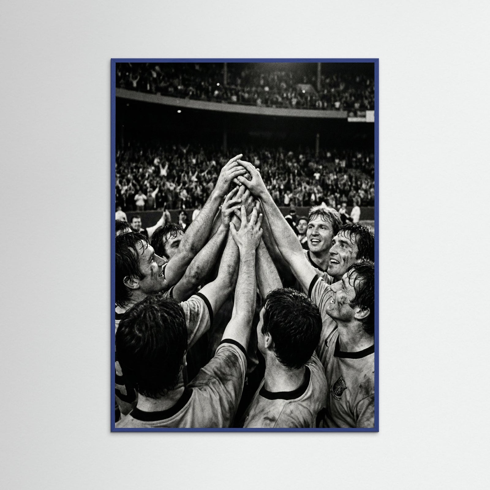 Blue Wood Champions Gaze